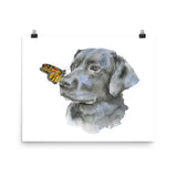 Black Labrador with a Monarch Butterfly Watercolor