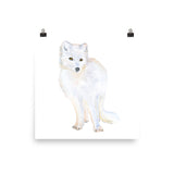 Arctic Fox Watercolor