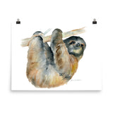 Sloth Watercolor