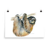 Sloth Watercolor