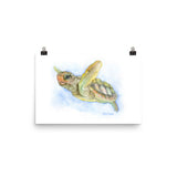 Sea Turtle Watercolor