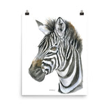 Zebra Face Watercolor