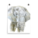 African Elephant Watercolor