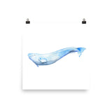 Beluga Whale Watercolor Print