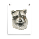 Baby Raccoon Face Watercolor