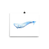 Beluga Whale Watercolor Print