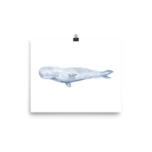 Sperm Whale Watercolor Art Print