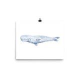 Sperm Whale Watercolor Art Print