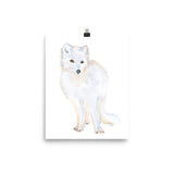 Arctic Fox Watercolor