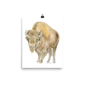 Bison Watercolor Print