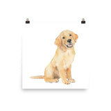 Golden Retriever Puppy Watercolor