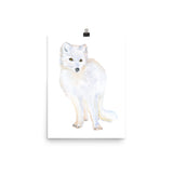 Arctic Fox Watercolor