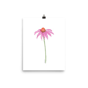 Pink Coneflower Wildflower Echinacea Daisy Watercolor Print