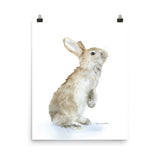 Tan Bunny Rabbit Watercolor