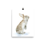 Tan Bunny Rabbit Watercolor