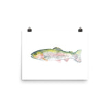 Rainbow Trout Watercolor