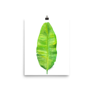 Banana Leaf Watercolor