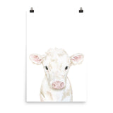White Calf Watercolor Cow
