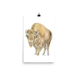 Bison Watercolor Print