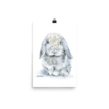 Mini Lop Rabbit Watercolor