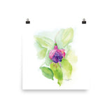 Fuchsia Watercolor Floral