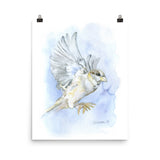 Sparrow in Flight Watercolor