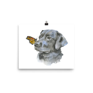 Black Labrador with a Monarch Butterfly Watercolor