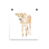 Jersey Calf Watercolor - Baby Cow