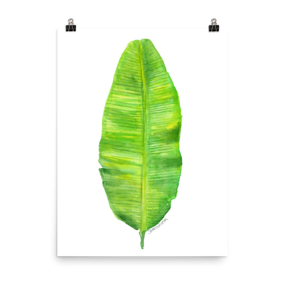 Banana Leaf Watercolor
