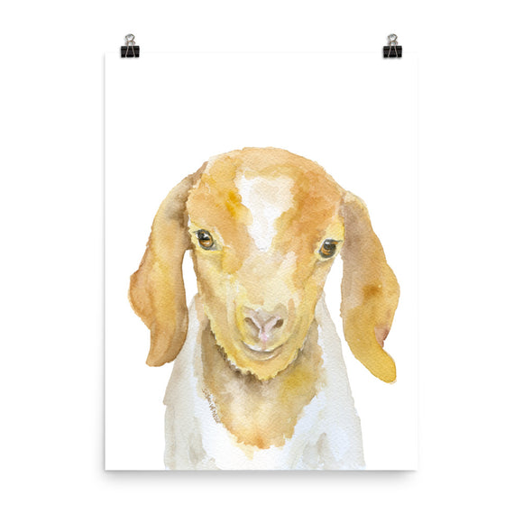 Nubian Goat Watercolor