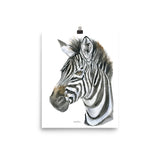 Zebra Face Watercolor