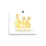 Ducklings Watercolor