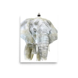 African Elephant Watercolor