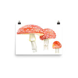 Toadstools Watercolor