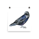 Raven Watercolor Print