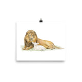 Lion and the Lamb Watercolor