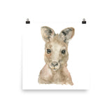 Kangaroo Face Watercolor