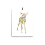 Deer Fawn Watercolor 2