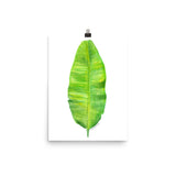 Banana Leaf Watercolor