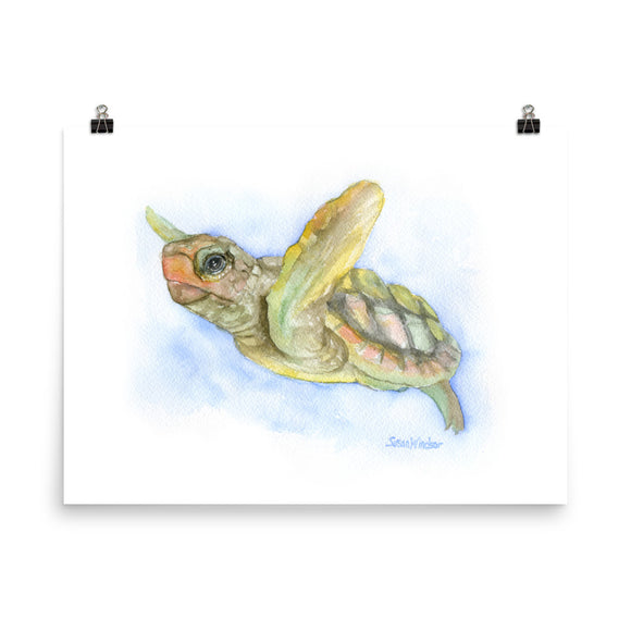 Sea Turtle Watercolor