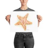 Sea Star Starfish Watercolor