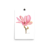 Pink Magnolia Flower Watercolor