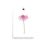 Pink Coneflower Wildflower Echinacea Daisy Watercolor Print