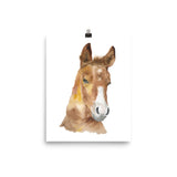 Horse Head Watercolor
