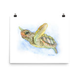 Sea Turtle Watercolor