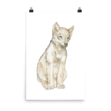 Gray Wolf Pup Watercolor Print