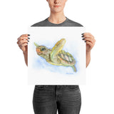 Sea Turtle Watercolor
