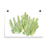 Cactus Moroccan Mound Watercolor