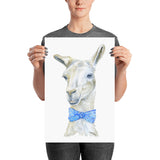 Llama with a Tie Watercolor