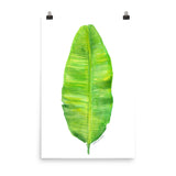 Banana Leaf Watercolor